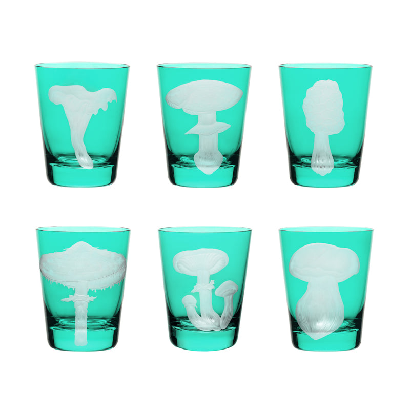 Mushrooms Collection Set