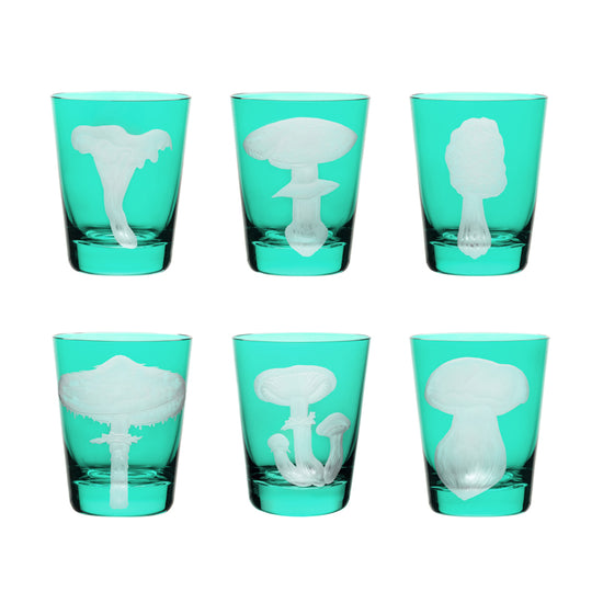 Mushrooms Collection Set