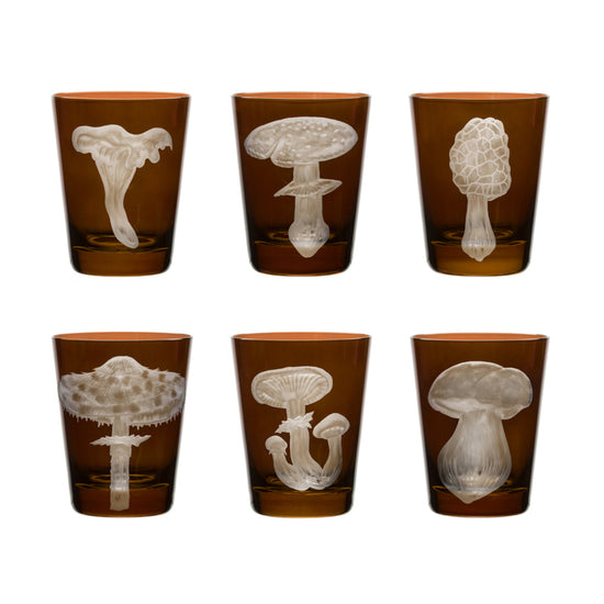 Mushrooms Collection Set