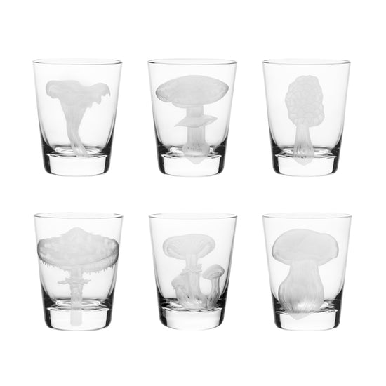 Mushrooms Collection Set