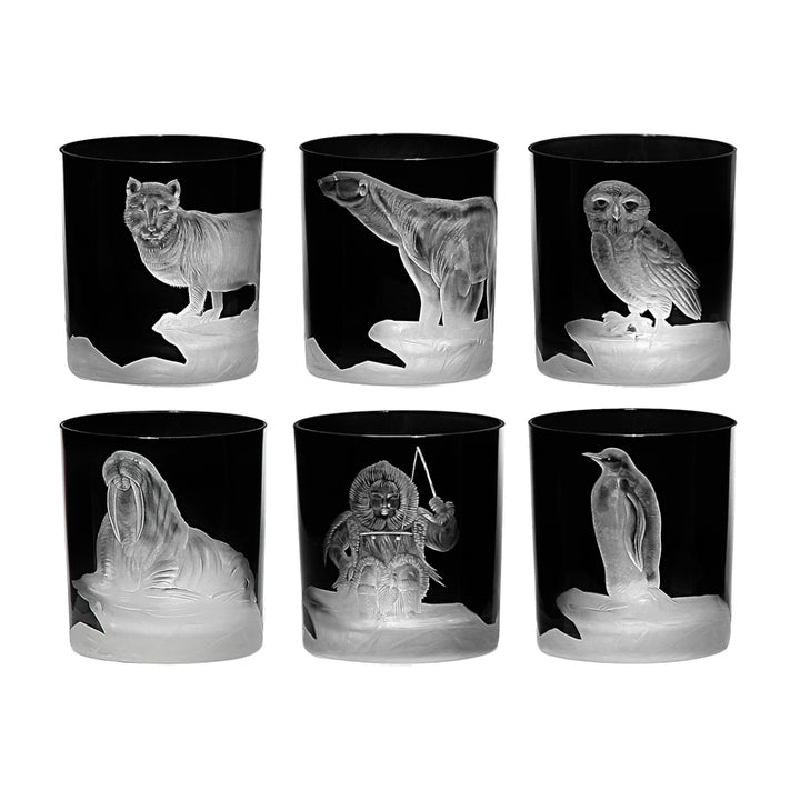 Arctic Collection Set