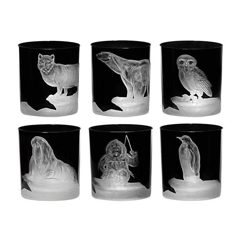 Arctic Collection Set