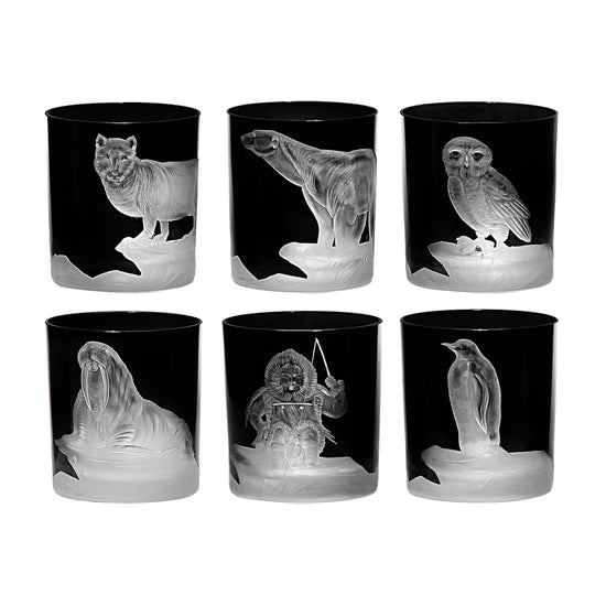 Arctic Collection Set