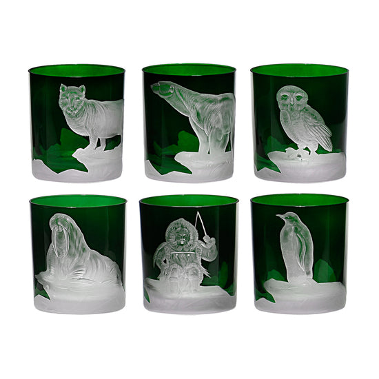 Arctic Collection Set