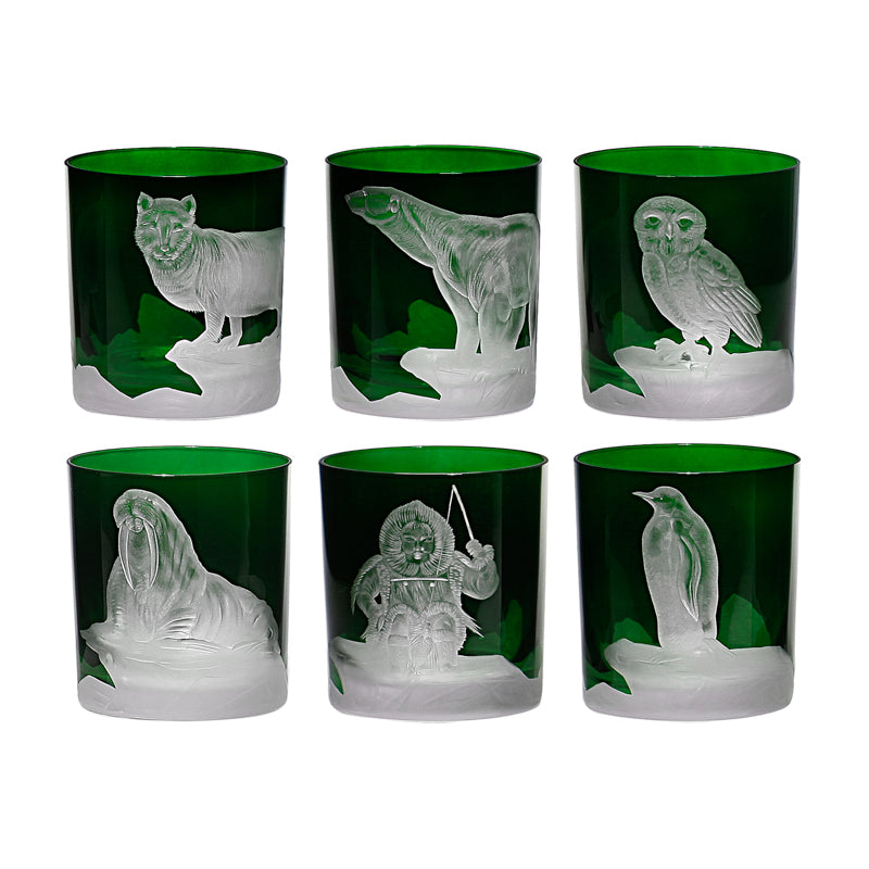 Arctic Collection Set