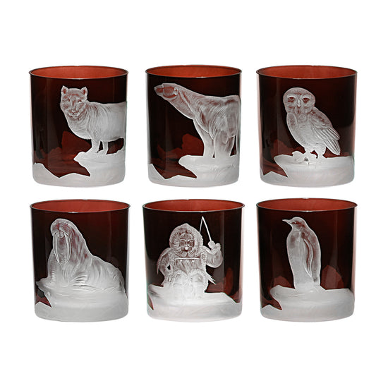 Arctic Collection Set