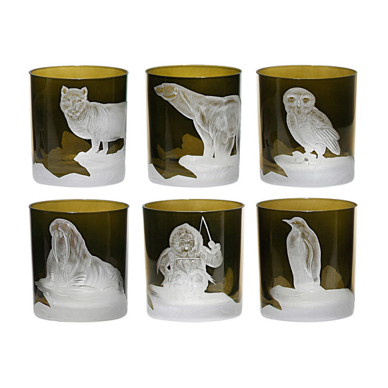 Arctic Collection Set