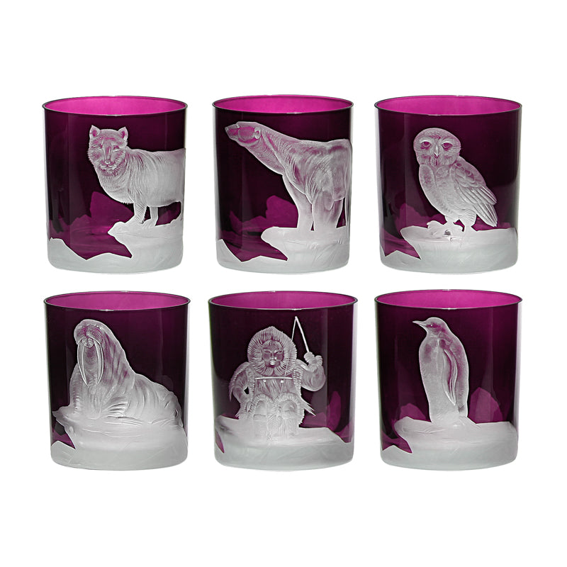 Arctic Collection Set