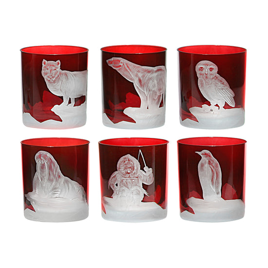 Arctic Collection Set