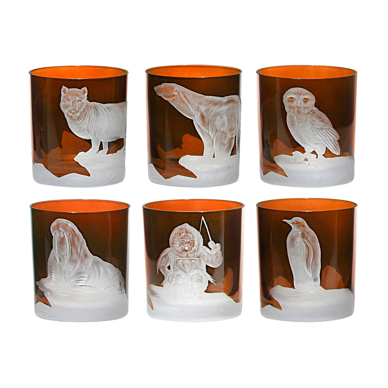 Arctic Collection Set