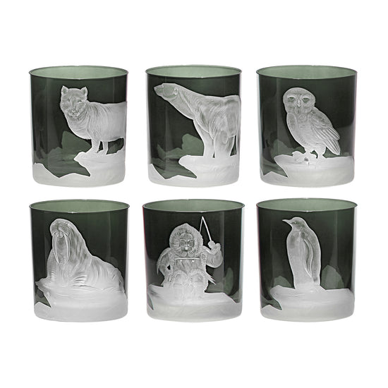 Arctic Collection Set