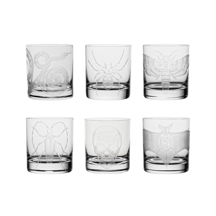 Cabinet of Curiosities Collection Set