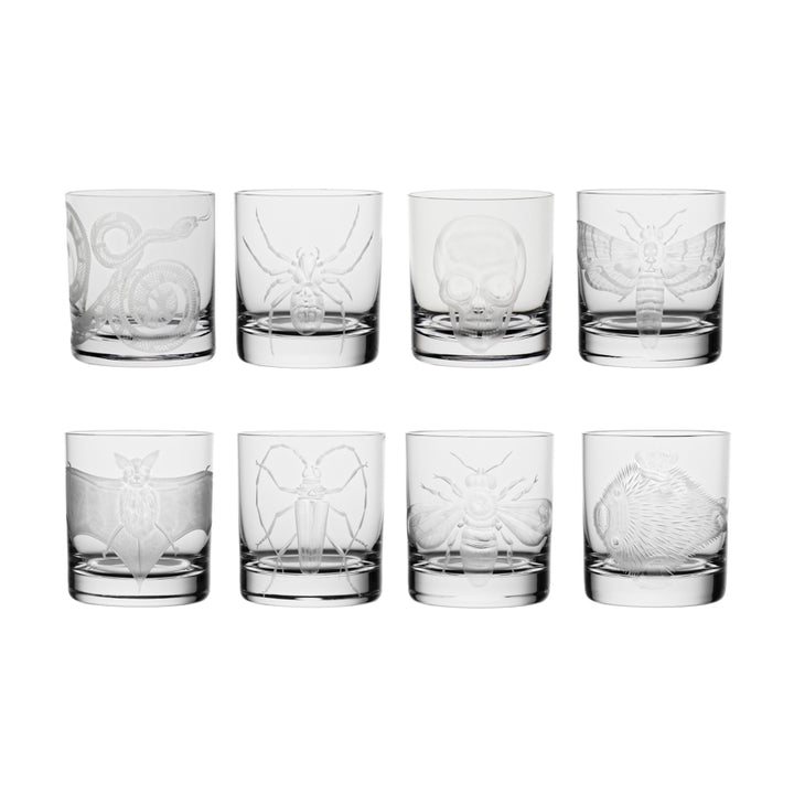 Cabinet of Curiosities Collection Set