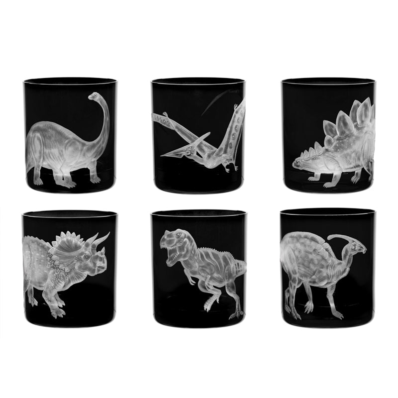 Dinosaur Collection 1 Triceratops