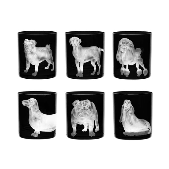 Dog Collection Set