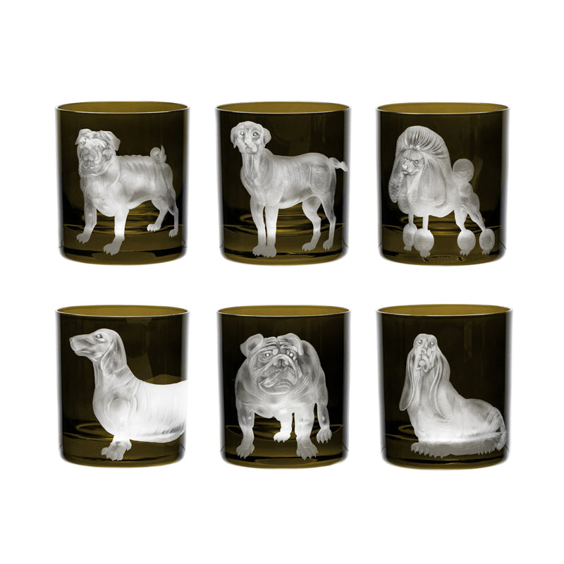 Dog Labrador