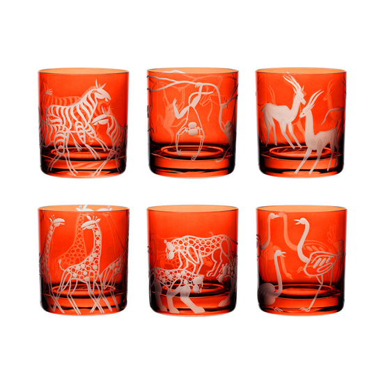 Safari Gazelles