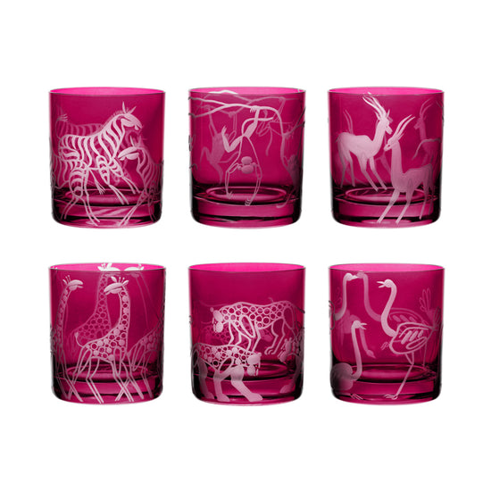 Safari Giraffes