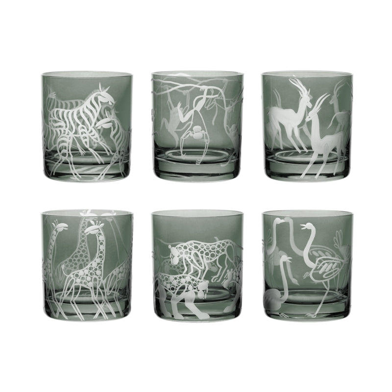 Safari Giraffes