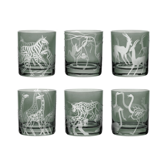 Safari Giraffes