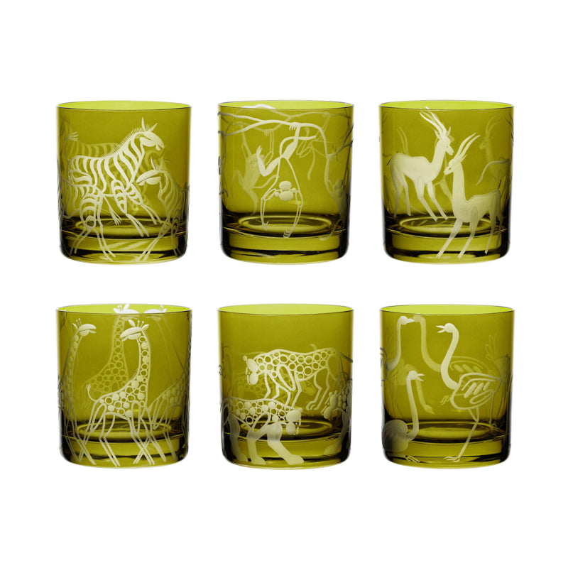 Safari Giraffes