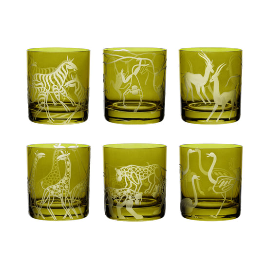 Safari Giraffes