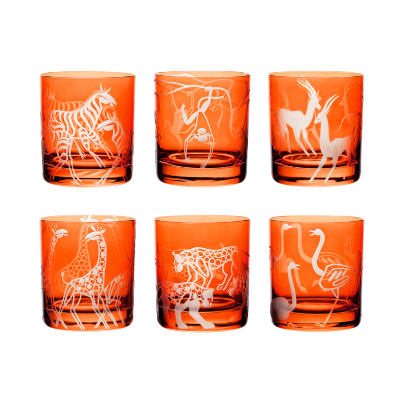 Safari Gazelles