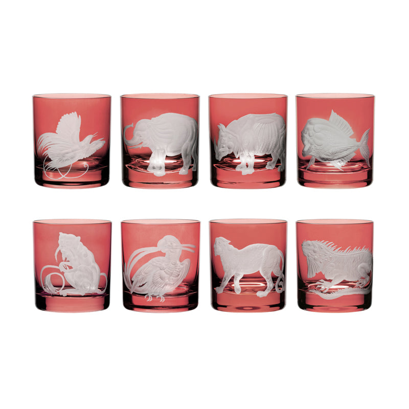 Jungle Baroque III Piranha