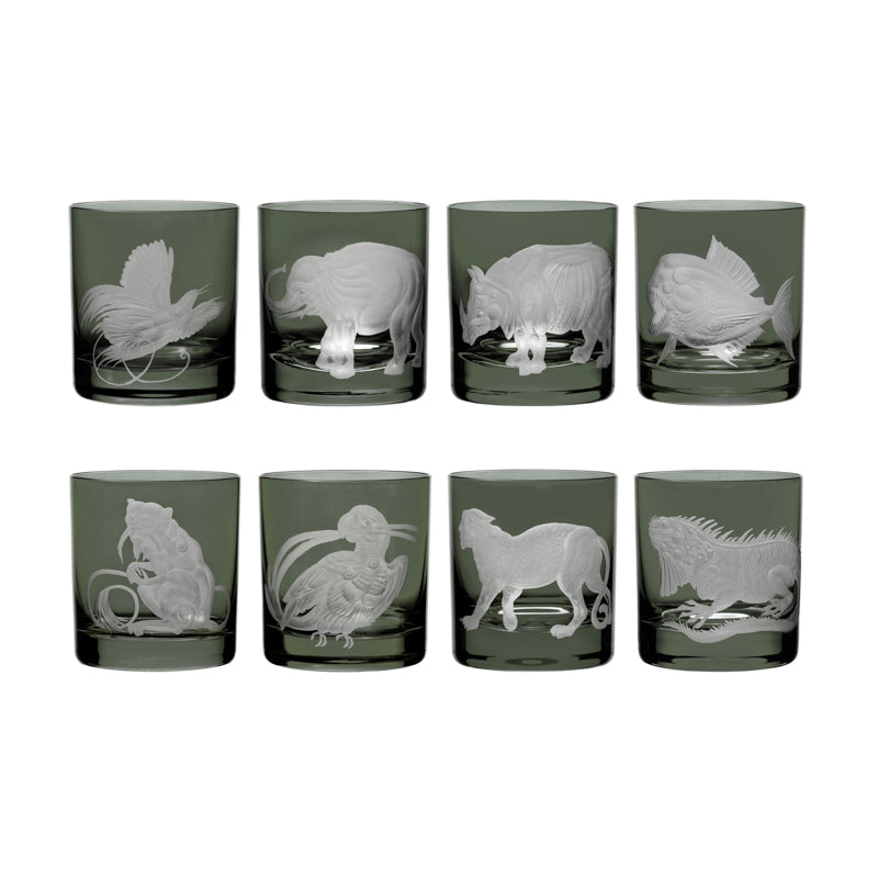 Jungle Baroque III Piranha