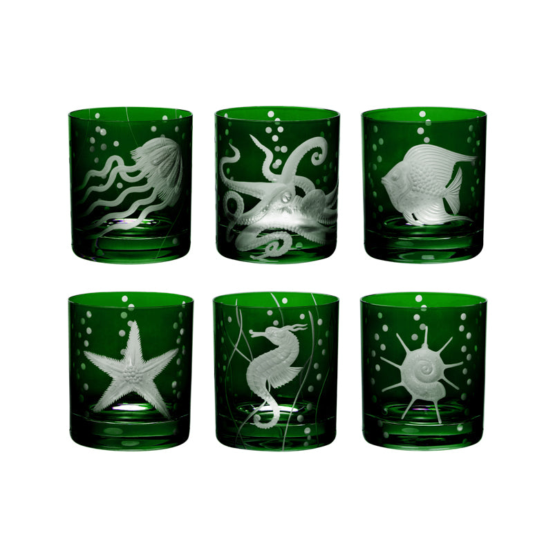 Sea Life Collection Set