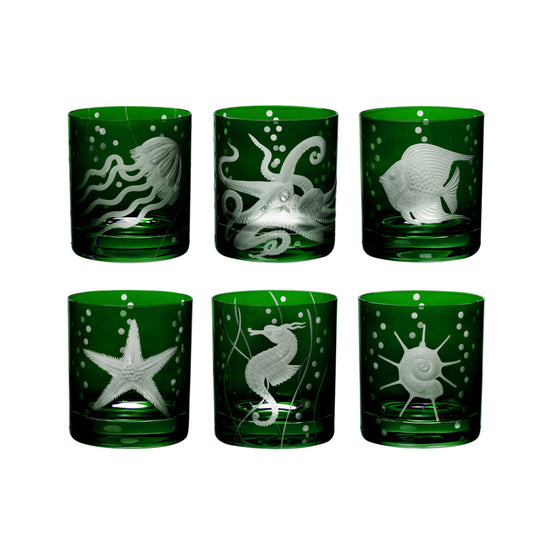 Sea Life Collection Set