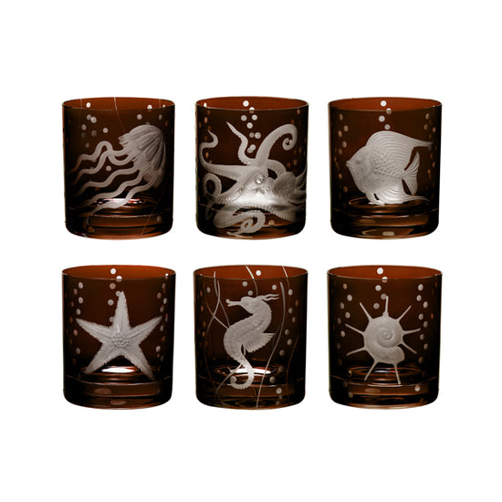 Sea Life Collection Set