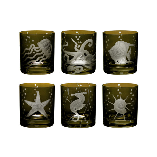 Sea Life Collection Set