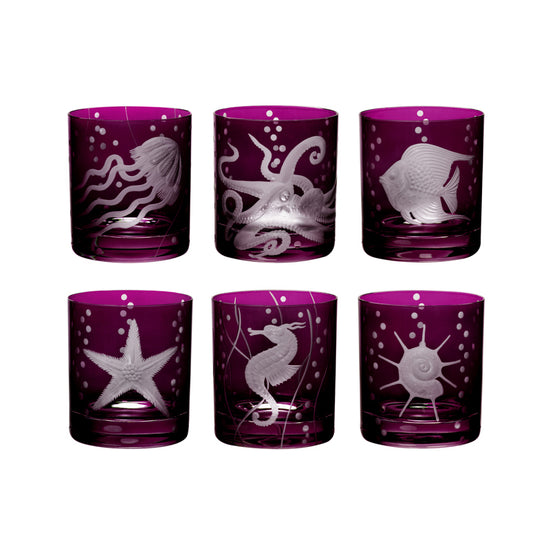 Sea Life Collection Set