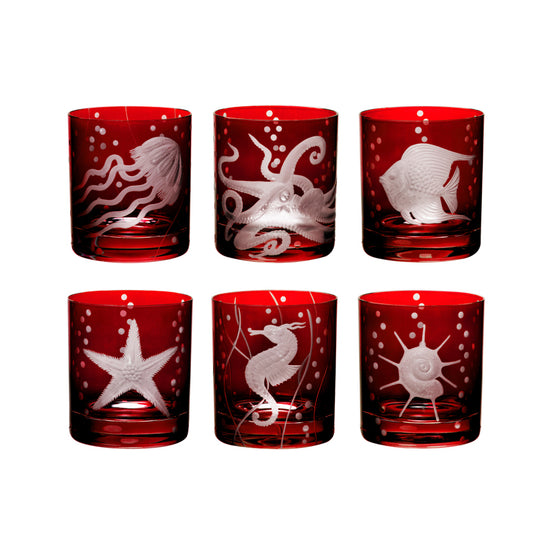 Sea Life Collection Set