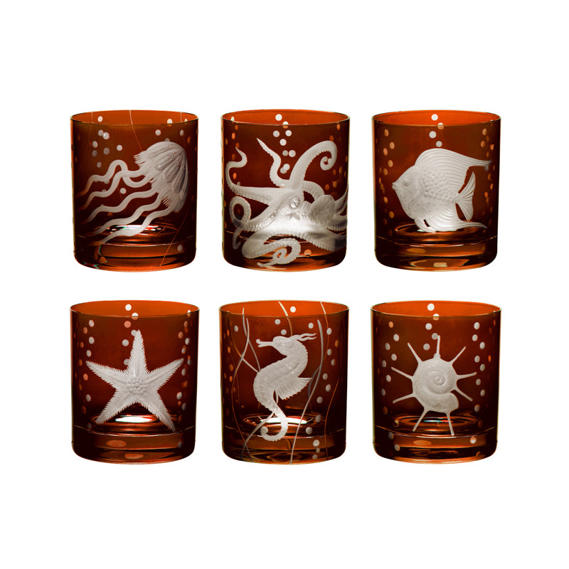 Sea Life Collection Set