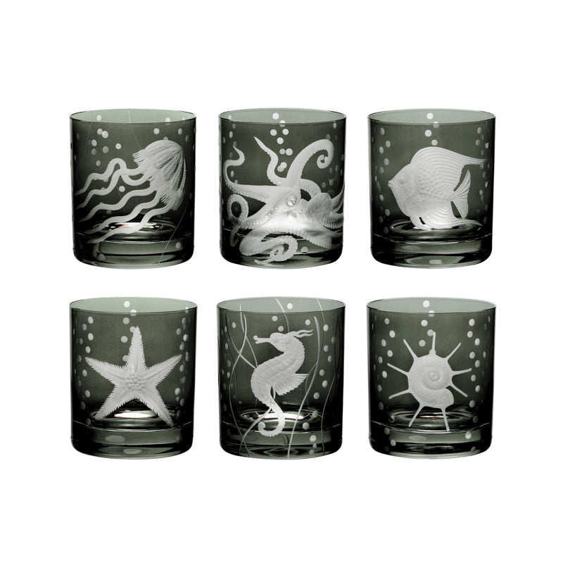 Sea Life Collection Set