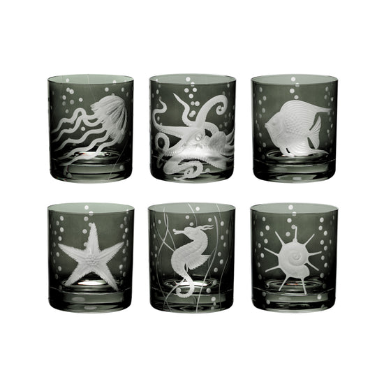 Sea Life Collection Set