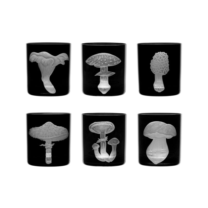 Mushrooms Collection Set