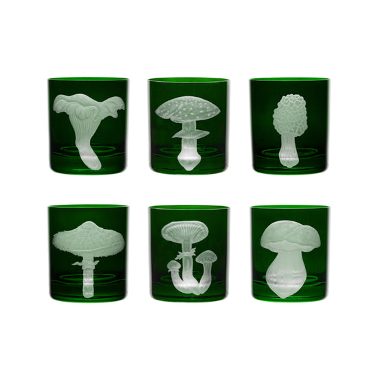 Mushrooms Collection Set