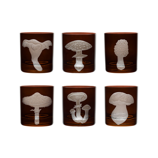 Mushrooms Morel