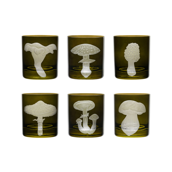 Mushrooms Fly Amanita