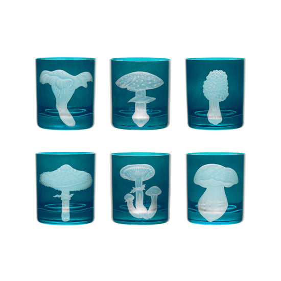 Mushrooms Collection Set