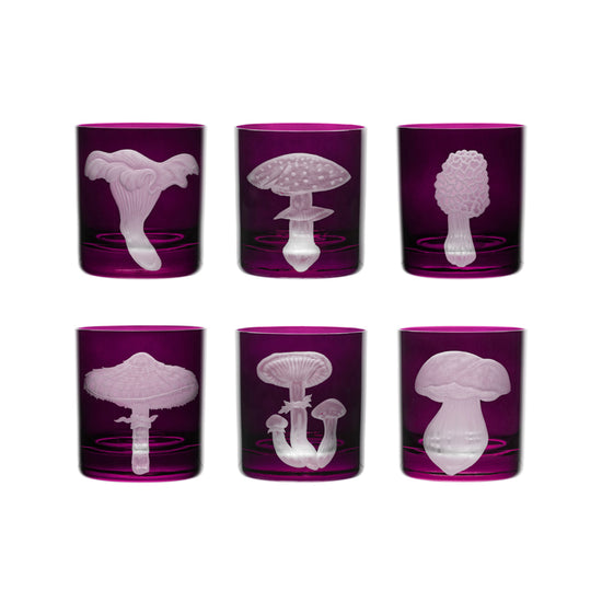 Mushrooms Honey Fungus