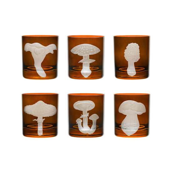 Mushrooms Morel