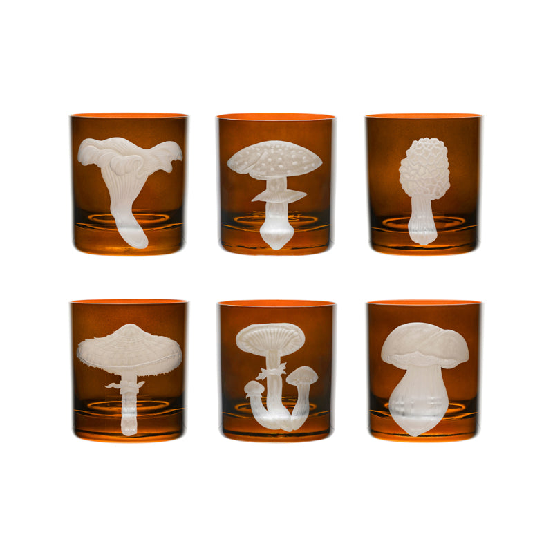 Mushrooms Fly Amanita