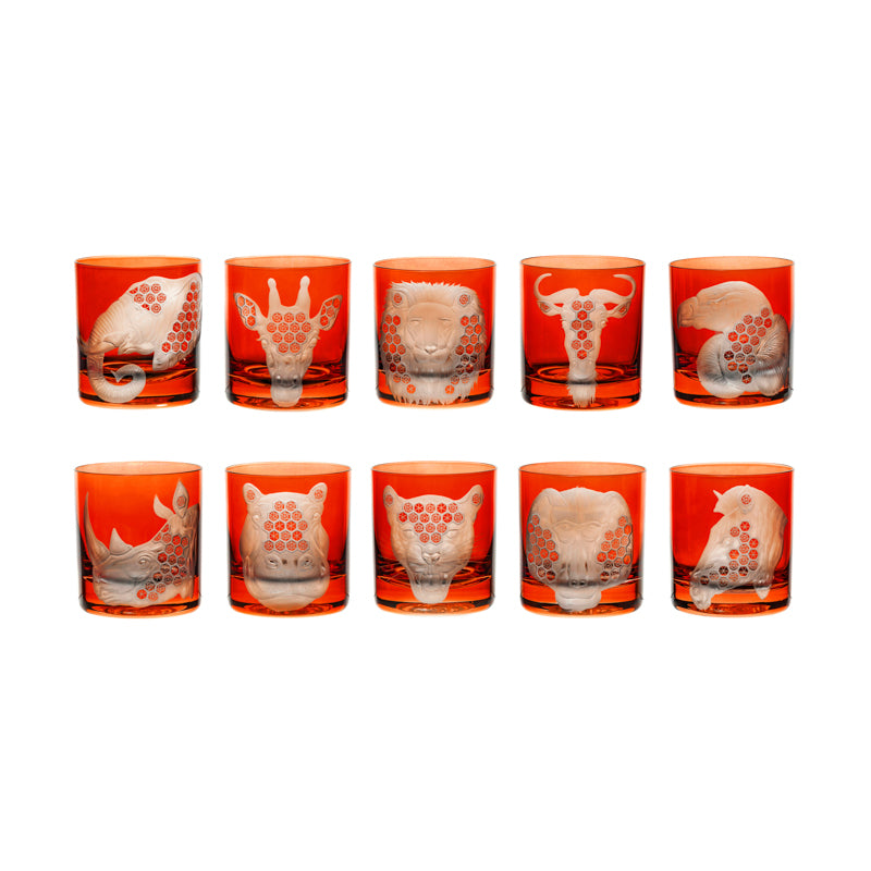 African Safari Collection Set