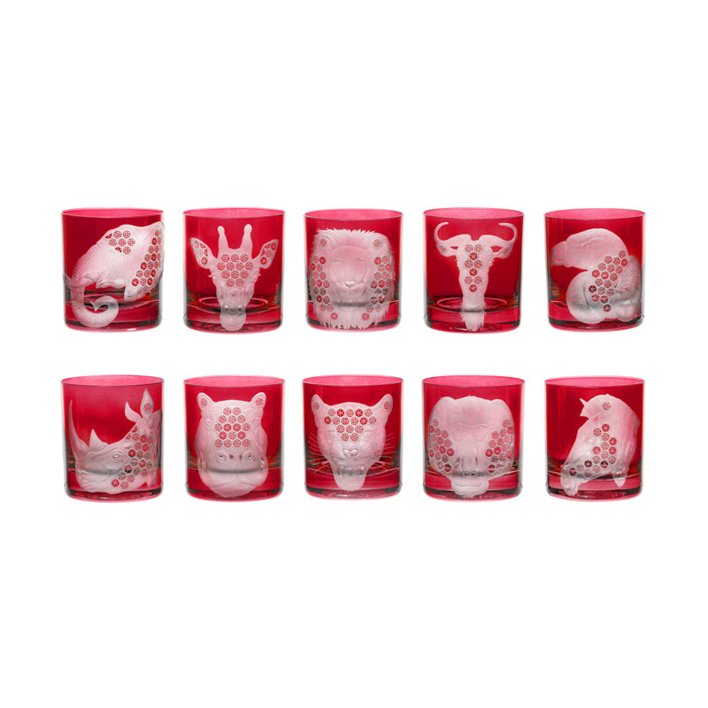 African Safari Collection Set