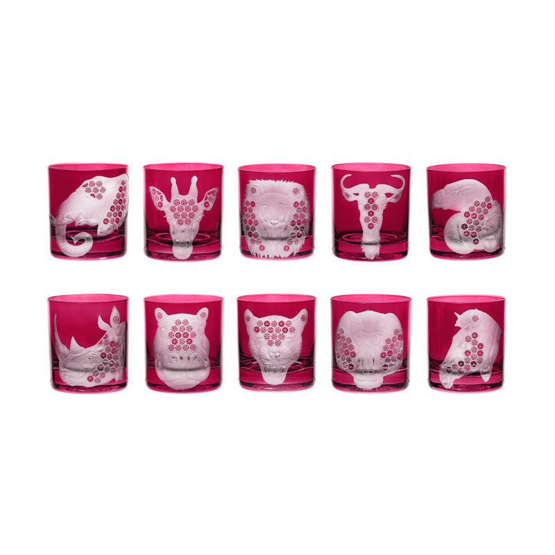 African Safari Collection Set