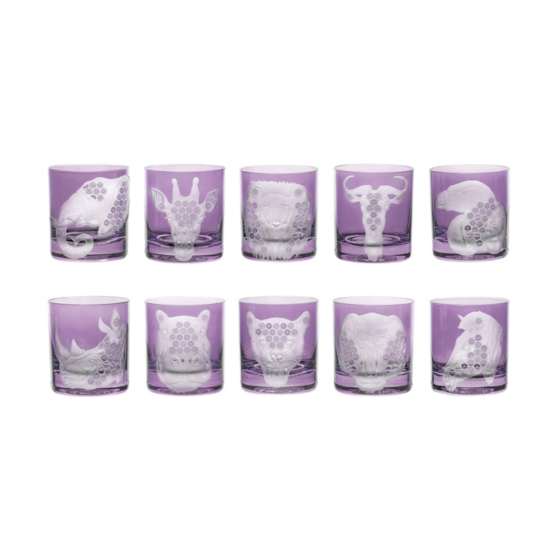 African Safari Collection Set